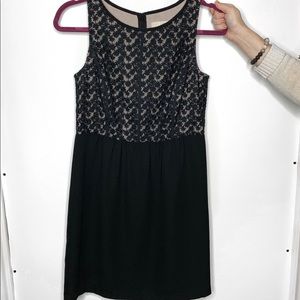 Loft little black dress